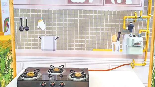 పీఎన్‌జీపై కొత్త పాలసీ తెస్తాం