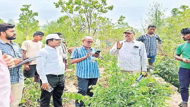 సింగవరం భూముల్లో సర్వే