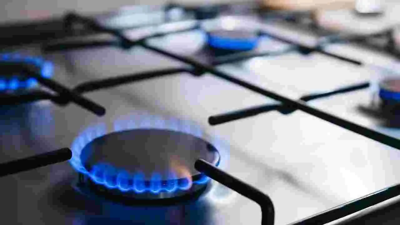 ఇండక్షన్‌ కుక్‌వేర్‌కు ‘కస్టమ్స్‌’ రిలీఫ్‌!