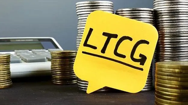 దేశీయ ఈక్విటీ ఇన్వెస్టర్లకు