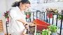 కుండీల్లో మట్టి సారవంతంగా...