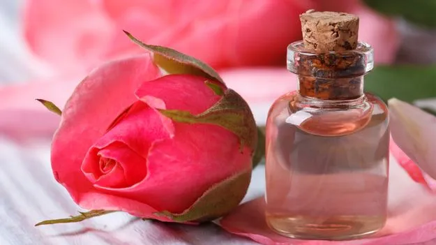 రోజ్‌ వాటర్‌తో ప్రయోజనాలెన్నో..!