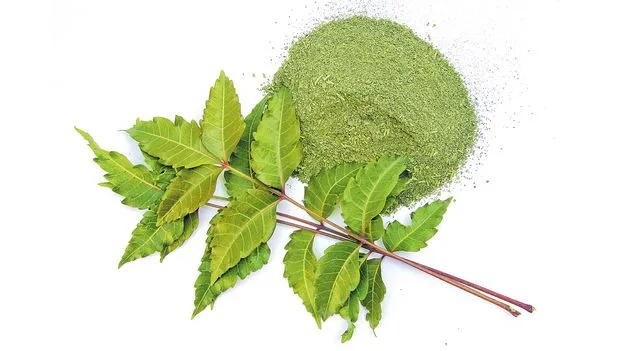 కేశ సంరక్షణ ఇలా...