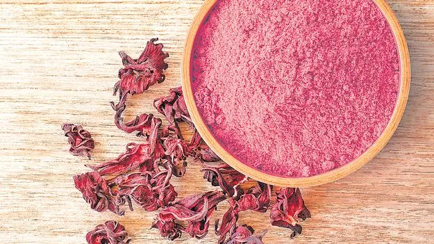 గులాబీ మ్యాజిక్‌...