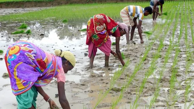 సాగును ‘ఉపాధి హామీ’తో అనుసంధానించాలి