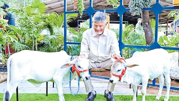 కుప్పం గంగమ్మ సేవలో ముఖ్యమంత్రి 