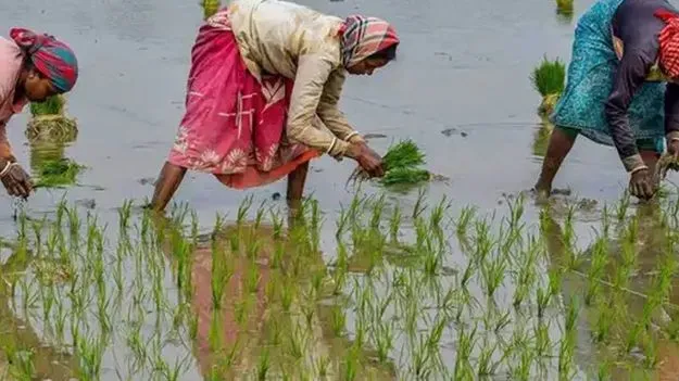 ఖరీఫ్‌కు ఎల్‌ నినో ముప్పు