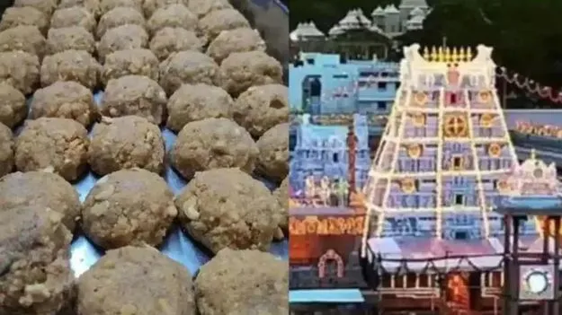 కల్తీ నెయ్యి కారకులపై కఠిన చర్యలు