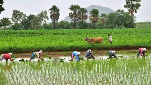 కౌలు రైతులకు గుర్తింపు ఇవ్వాలి 