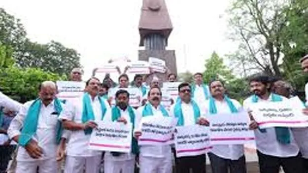 మొక్కజొన్నను కొనుగోలు చేయాలి