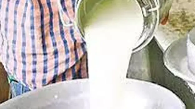 కల్తీ పాల ఘటనపై ఎన్‌హెచ్చార్సీ విచారణ