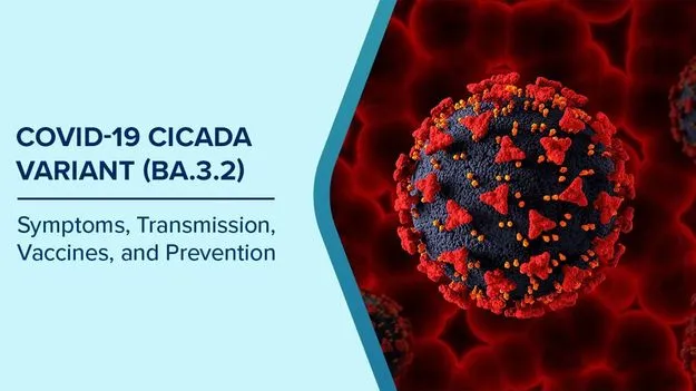 కొవిడ్‌ కొత్త వేరియంట్‌ ‘సికాడా’