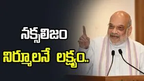 భద్రతా దళాల సమన్వయంతో నక్సలిజంపై విజయం సాధించాం: అమిత్ షా
