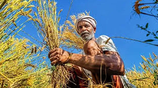 రేపు రైతుల ఖాతాల్లో పీఎం-కిసాన్‌ నిధులు