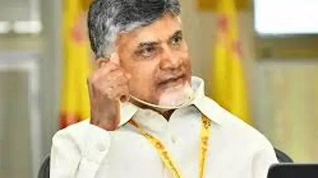 ఏపీలో జాతీయ మాంస, పౌల్ర్టీ అభివృద్ధి బోర్డు
