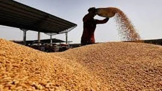 పంజాబ్‌కు ఓ నీతి.. తెలంగాణకు మరో నీతా?