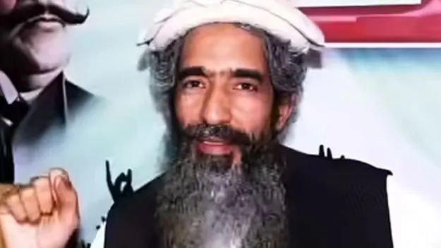 ఉగ్రవాది అమిర్‌ హమ్జాపై లాహోర్‌లో కాల్పులు