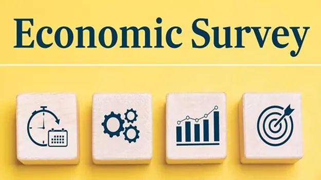 సామాజిక ఆర్థిక సర్వేలోని కీలకాంశాలు