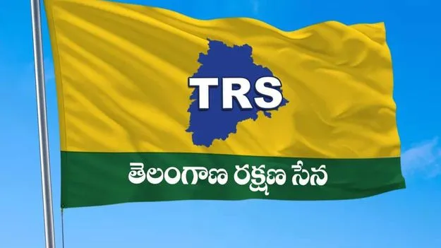 నెల రోజులపాటు టీఆర్‌ఎస్‌ జెండా పండుగ: కవిత