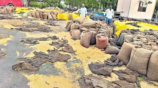 అర్ధరాత్రి గాలివాన బీభత్సం