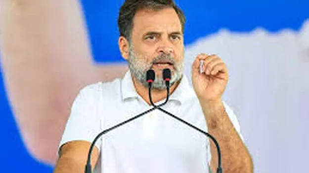 ఏడాదిలోపు మోదీ సర్కార్‌ పతనం!