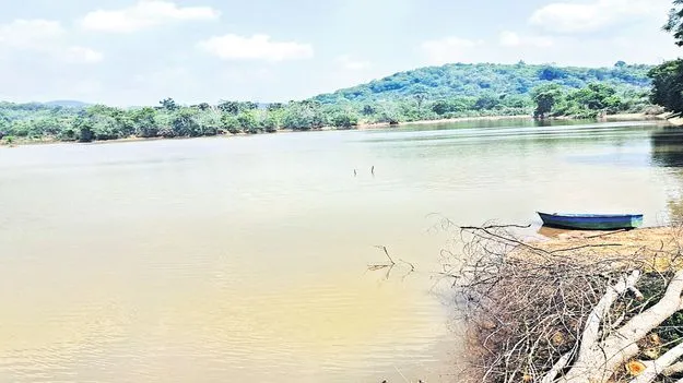 మండు వేసవిలో జలకళ