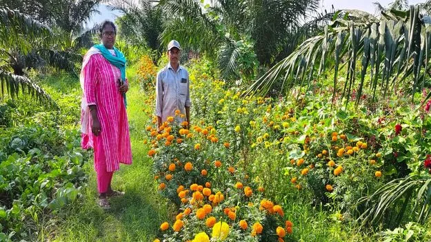 ఒకే తోట  డబుల్‌ ఆదాయం..