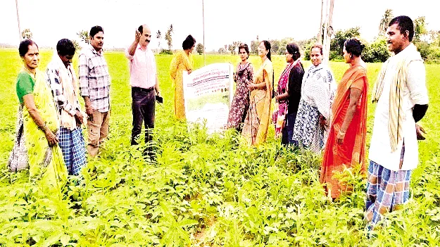   ప్రకృతి వ్యవసాయంతో భూసారం: ఏడీఏ