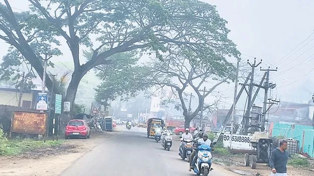 తగ్గని పొగమంచు