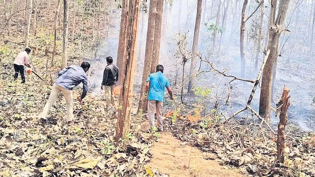 వలసగెడ్డ టేకు ప్లాంటేషన్‌లో ఎగసిన మంటలు