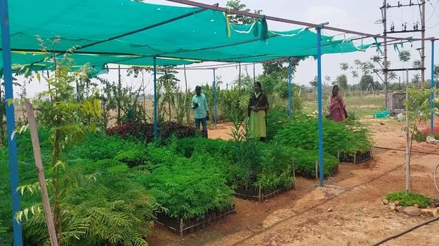 వన మహోత్సవానికి సన్నద్ధం