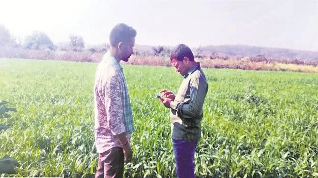 kumaram bheem asifabad-సాగు లెక్క.. ఇక పక్కా