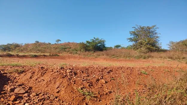 రెవెన్యూ అక్రమాలపై విచారణ ఎప్పుడు..?