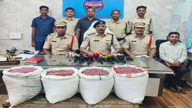 జోరుగా నకిలీ పత్తి విత్తనాల దందా