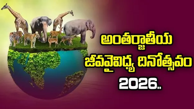 అంతర్జాతీయ జీవవైవిధ్య దినోత్సవం 2026.. ప్రకృతిని కాపాడటం ప్రతిఒక్కరి బాధ్యత