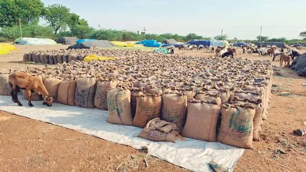 ఎక్కడి బస్తాలు అక్కడే