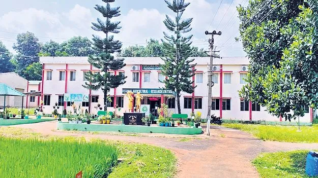 అగ్రికల్చర్‌ డిప్లొమాతో అవకాశాలెన్నో..
