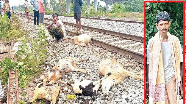 జీవాలను రక్షించబోయి.. తానే బలై!