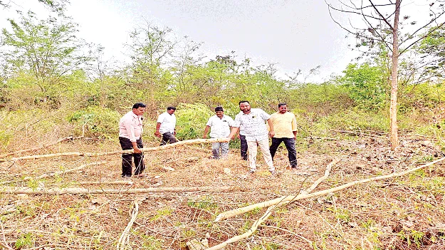    మొక్కలను నాటేదెప్పుడు?