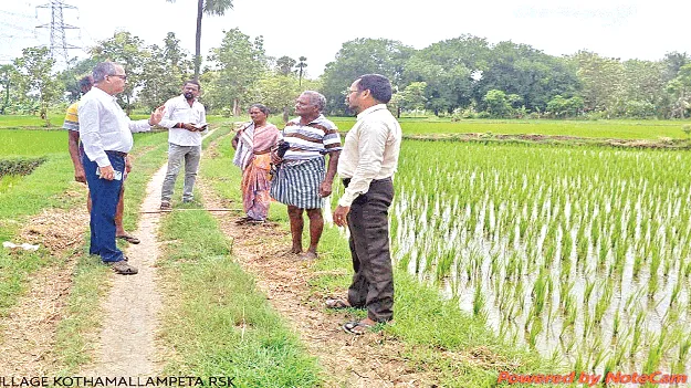 శాటిలైట్‌తో పంటల వివరాలు నమోదు