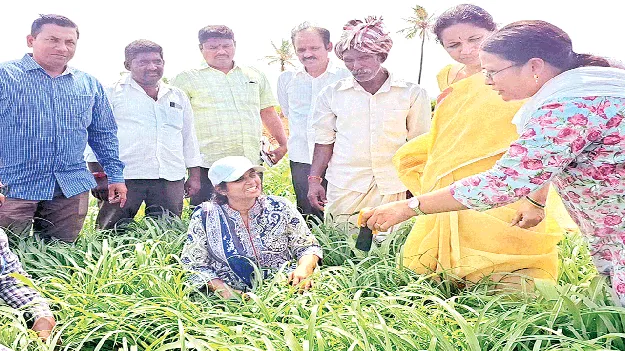 ప్రకృతి వ్యవసాయంతో భూమి సారవంతం 