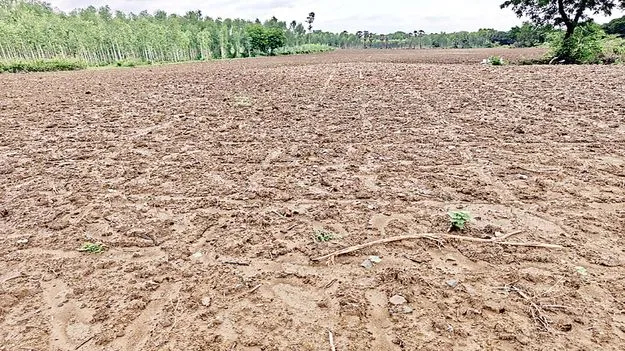 మేమిస్తాం.. మాకిష్టం లేదు!