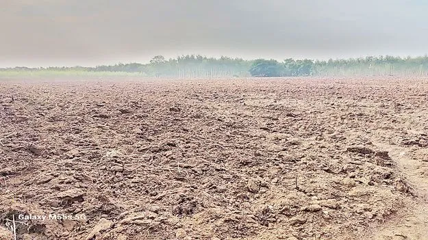 విత్తనానికి వేళాయె..  చినుకు జాడ లేదాయె !