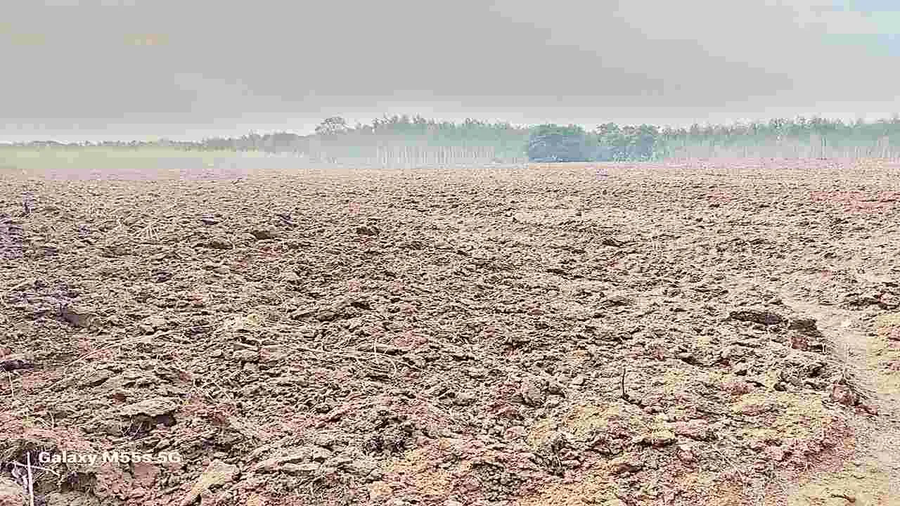 విత్తనానికి వేళాయె..  చినుకు జాడ లేదాయె !