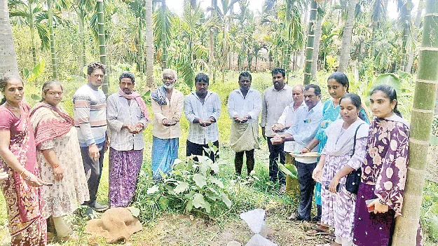 పంటల సంరక్షణకు సీడ్‌ పెలెటైజేషన్‌ బాల్స్‌