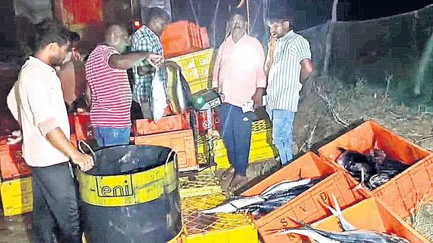 చేపల వేట నిషేధ ఆదేశాలకు తూట్లు