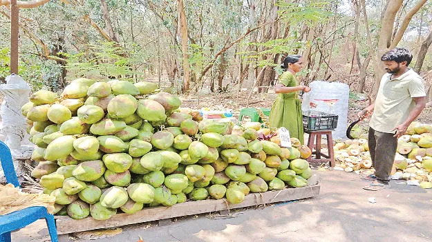 కొనలేం.. తాగలేం