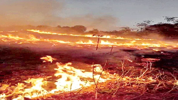  కాలిబూడిదైన కష్టం