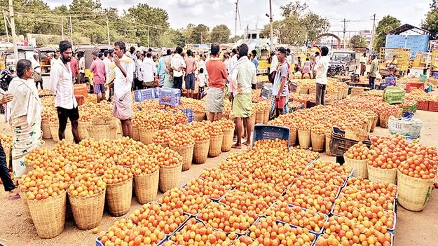    టమోఠా