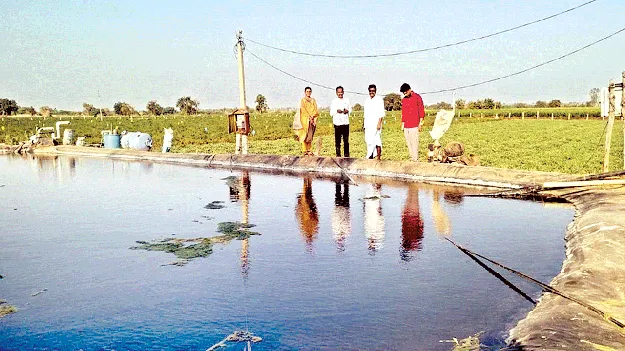 సాగునీరు వృథా 